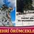 Efkan Ala'dan yeni anayasa açıklaması