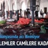 Yemen'de kanlı cuma Yemen'de kanlı cuma