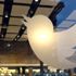 Twitter'dan flaş korona kararı! 4.900 personelinden evden çalışmalarını istedi