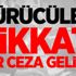 TSK'dan Mardin ve Hakkeri'de hava operasyonu TSK'dan Mardin ve Hakkeri'de hava operasyonu