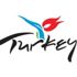 Türkiye'nin ''lale'' figürlü tanıtım logosu değişiyor Türkiye'nin ''lale'' figürlü tanıtım logosu değişiyor