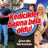 Adnan Oktar'ın 'kedicikler'i başına bela oldu! Adına Çince site bile kurdu