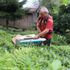 Geliştirdiği bu makineyle günde 1 ton çay topluyor Geliştirdiği bu makineyle günde 1 ton çay topluyor