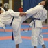 Sakarya'da karate heyecanı