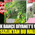 ﻿Atatürk'ün talimatıyla kurulan botanik bahçe Diyanet'e verildi, bakımsızlıktan bu hale geldi
