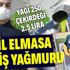 Yağı 250 çekirdeği 2,5 lira! Yeşil elmas olarak bilinen avokadonun yağına yoğun talep