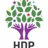 HDP'li bakana soğuk duş! Suç duyurusunda bulunuldu