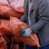 Depremzedelere 30 bin ton kömür dağıtılacak