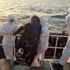 Türk kara sularına geri itilen 65 sığınmacı kurtarıldı