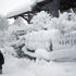 Avusturya Başbakanı karda mahsur kaldı