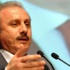 Şentop: 23 Nisan Başbakanı bile olamaz
