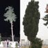 İtfaiyeden nefes kesen ‘yastık operasyonu’ İtfaiyeden nefes kesen ‘yastık operasyonu’