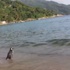 Brezilya yaşlı adam ile hayata döndürdüğü penguenin ilginç hikâyesi