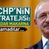 'Koli's çalışması