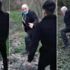 Kocaeli'nde iğrenç olay: Köpeğe istismarda bulununca darbedildi! Vali'den açıklama geldi Kocaeli'nde iğrenç olay: Köpeğe istismarda bulununca darbedildi! Vali'den açıklama geldi