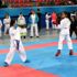 Okullar arası Karate İl Birinciliği müsabakaları tamamlandı