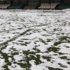 Amatör Futbola Kar Engeli Amatör Futbola Kar Engeli