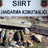 Siirt’te mühimmat ele geçirildi