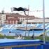 Spor Toto 1. Lig İkinci Kademe Büyükler Atletizm final yarışmaları başladı