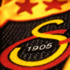 Galatasaray'a 20 bin lira ceza!