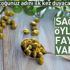 Kapari otunun faydaları nelerdir? Kapari bitkisi ne işe yarar , nasıl kullanılır?
