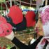 Kahramanmaraş’ta şiir sokağı Kahramanmaraş’ta şiir sokağı