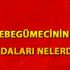 Ebegümecinin faydaları nelerdir? Ebegümeci çayı neye ...