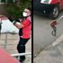 Karabük'te bir apartman bahçesinde yılan yakalandı