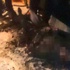 Balıkçıların ağına ceset takıldı
