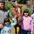 Alnında kuş figürü bulunan at ilgi odağı oldu Alnında kuş figürü bulunan at ilgi odağı oldu