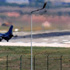 Türkiye'den flaş İncirlik açıklaması Türkiye'den flaş İncirlik açıklaması