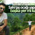 Tarkan'dan 'taş ocağı' tepkisi: İçim yanıyor Tarkan'dan 'taş ocağı' tepkisi: İçim yanıyor