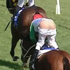 Pantolonu düşen jokey yarışı bırakmadı