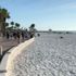 Florida koronavirüs dinlemedi Florida koronavirüs dinlemedi