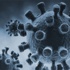 Muğla'da MERS virüsü şüphesi Muğla'da MERS virüsü şüphesi