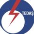 TEDAŞ ve TEMSAN özelleştirme kapsamından çıkarıldı