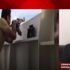 Kurtarılan denizciler yurda döndü! Korsanlar tarafından kaçırılan denizci Gökhan Buran Yaşadıklarını A Haber’de anlattı