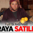 Limonun Fiyatı 8 Liraya Fırladı Limonun Fiyatı 8 Liraya Fırladı