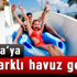 Öncü Kadınlar Platformu’ndan Küresel Eylem Çağrısı