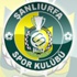 Şanlıurfaspor'da ayrılık