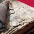 370 yıllık el yazması eser müzeye bağışlandı