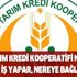 Tarım Kredi Kooperatifi nedir, ne iş yapar, nereye bağlıdır?