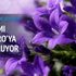 Kilogramı 5 bin avroya ihraç ediliyor