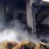 ​Sakarya'da ahır ve samanlıkta çıkan yangın korkuttu