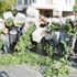 Tarımsal istihdamda çöküş Tarımsal istihdamda çöküş
