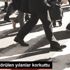 Derik te görülen yılanlar korkuttu