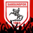 Samsun'da Süper Lig heyecanı