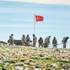 Davutoğlu: PYD’ye bildirimde bulunduk Davutoğlu: PYD’ye bildirimde bulunduk
