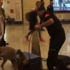 Alman turistlere de köpekli arama