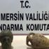Hayvan hırsızları jandarmadan kaçamadı Hayvan hırsızları jandarmadan kaçamadı